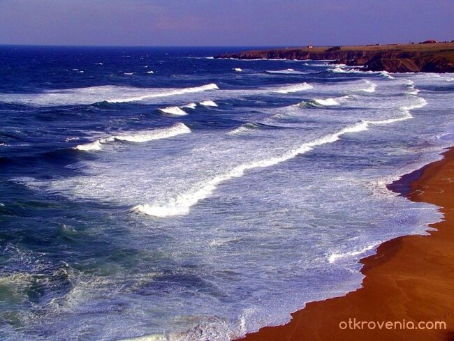 "Зайчета" в морето, вълни - на брега!