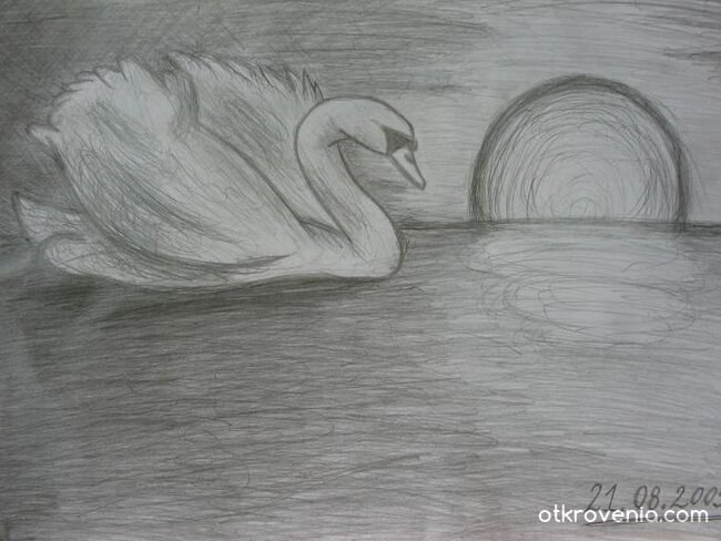 swan