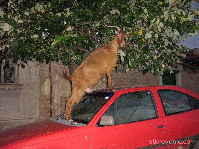 Малко хумор в събота вечер...:) на някой обаче не му е смешно...