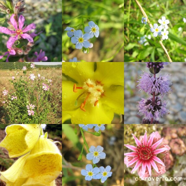 леко сбъркана речна композиция