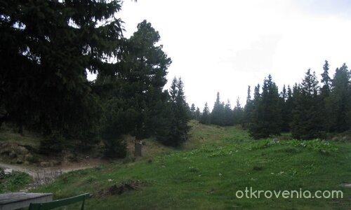 Почти недокоснато