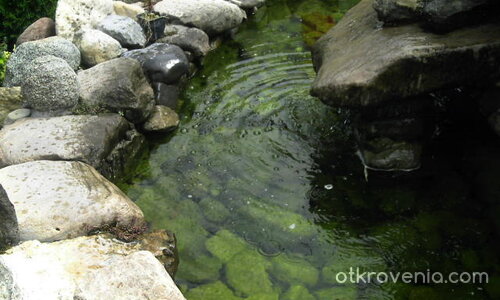 Застиналата свежест.