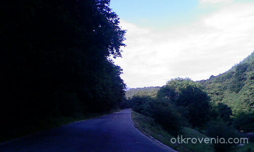 Пътят и природата