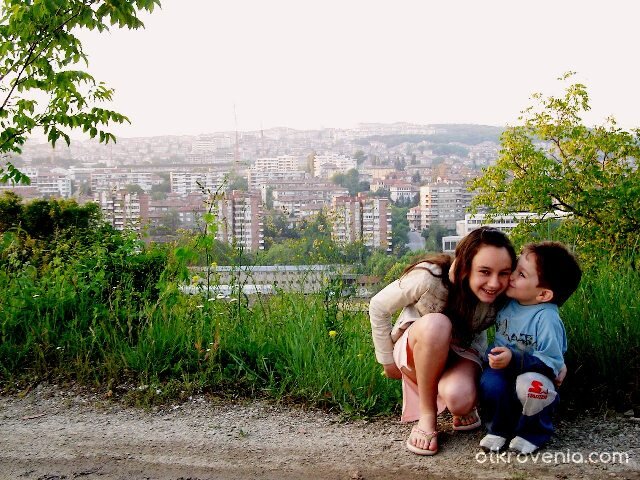 Две красиви цветчета