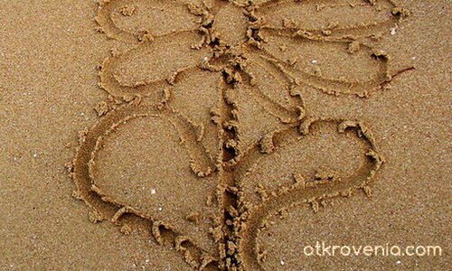 Цвете на пясъка