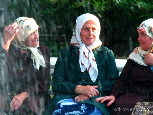 Странни птици