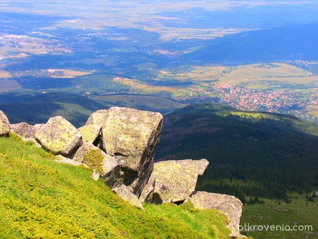 Малкия резен