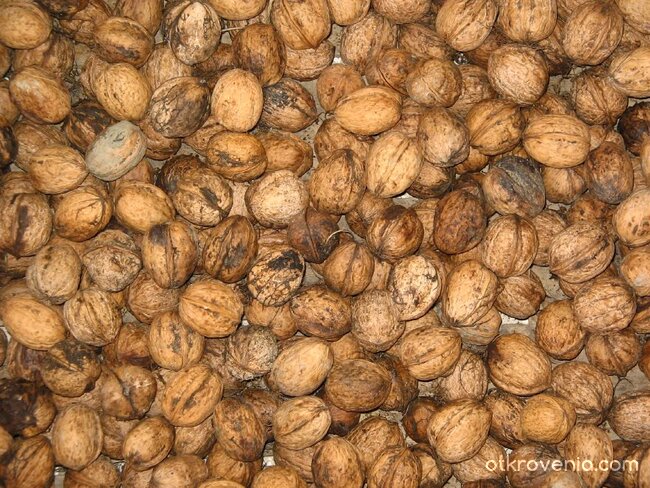 Блещукащи орехи