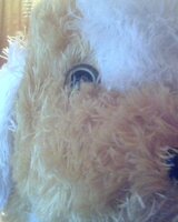 velina (Велина Петкова)