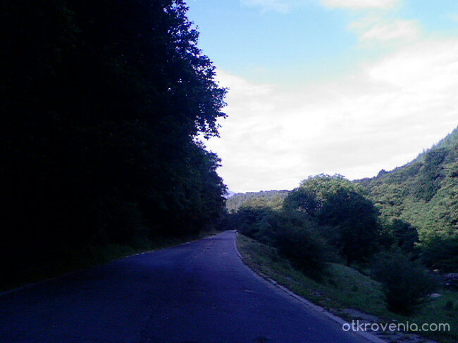 Пътят и природата