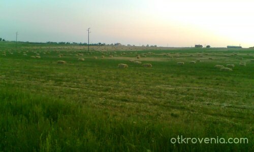 красотата на селски живот