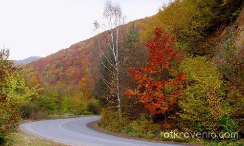 Път през есента