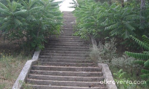 До къде ли води?