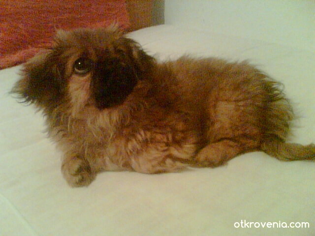 Какво ли е това горе?