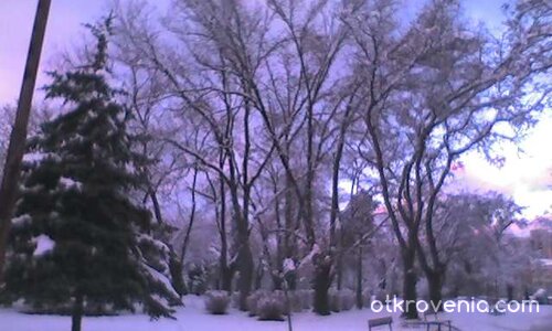 красивата природа през зимата