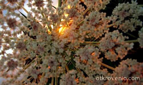 .../о/... по Пътя