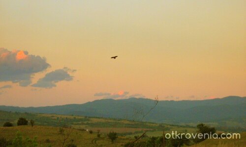 Наслука, Приятелю!