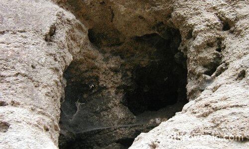 Домът на паяка