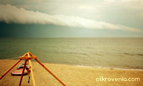 **^^** явление**^^**