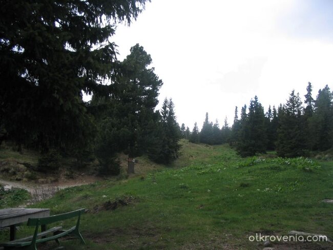 Почти недокоснато