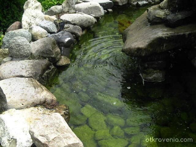 Застиналата свежест.