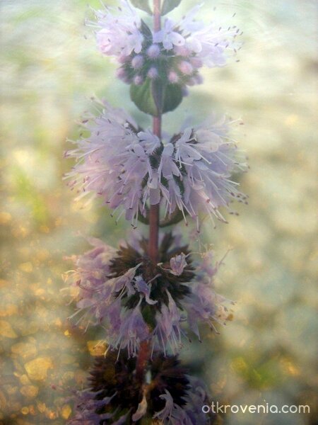 Закачка с въображението... :)