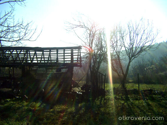 Зимно слънце