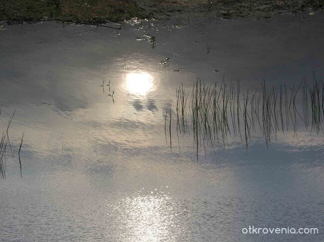 Нито ден е,нито вечер