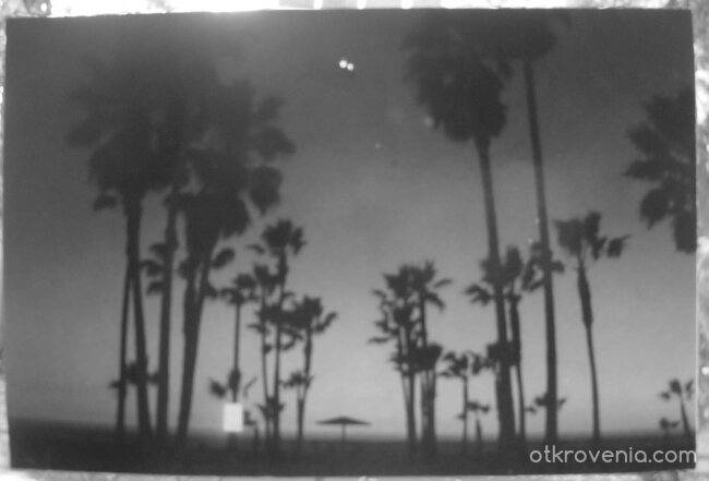 veniceBeach`california