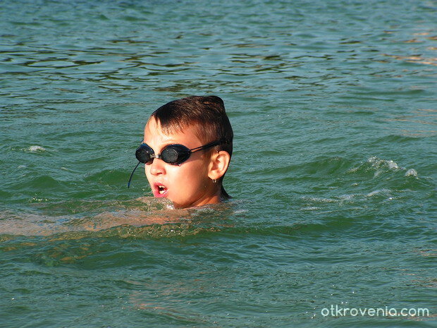 победителят