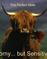 ВТ (Вили Тодоров)