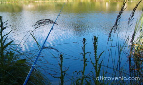 Дали ще клъвне този път?!...