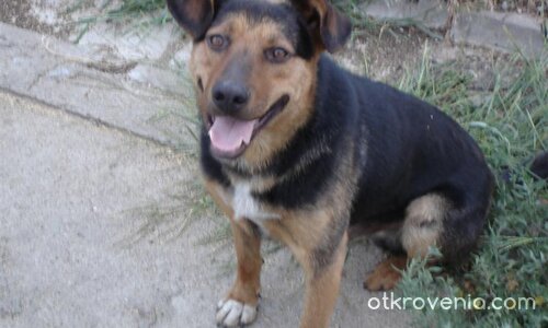 Пази си фотоапарата!