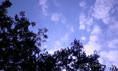 Искрица светлина