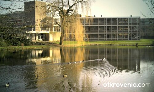 Късче свежест сред сивия бетон.