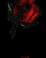 Magical_Fairy (Катерина)