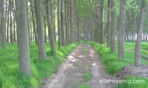 In the Middle of Nowhere