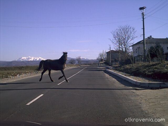 Просто си пресичам