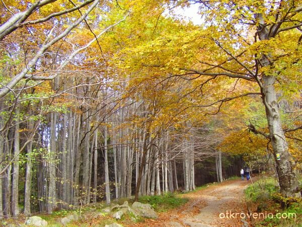 златна есен