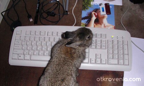 На курс по компютърна грамотност 2