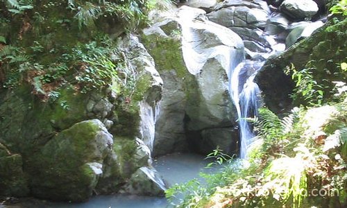 Красиво съм нали??? ;)