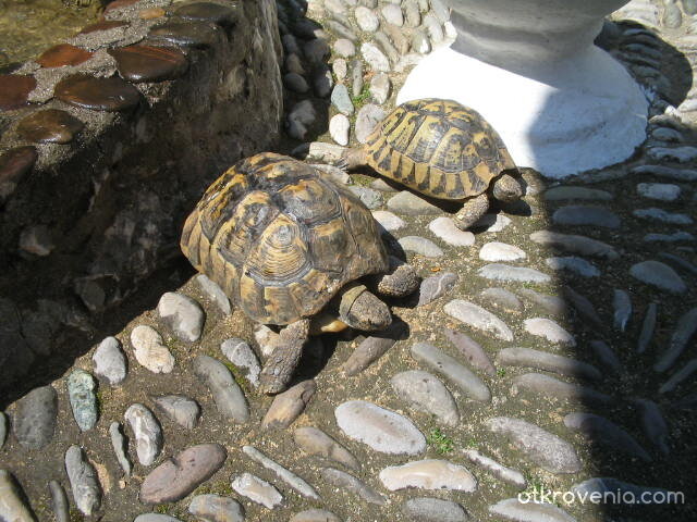 Ето ни и нас!