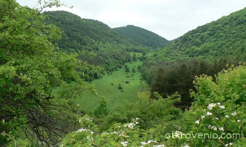 Път към вечността(близо до лобното място на Ботев)