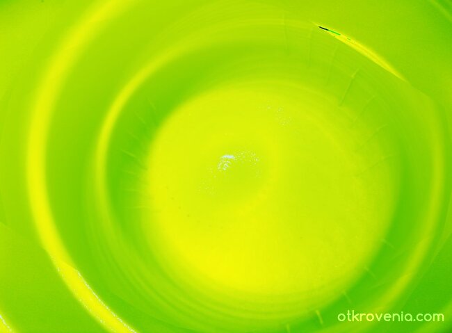 Пътуване към страната на чудесата2