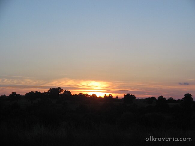 Меланхолия