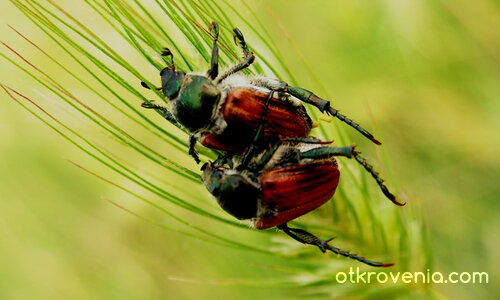 Не е ли любов?!