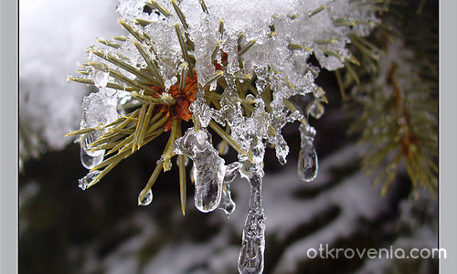 Студени сълзи