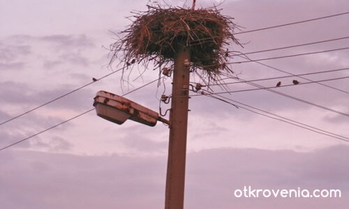 завръщането на мълчаливия император