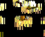 Мони (Рамона)