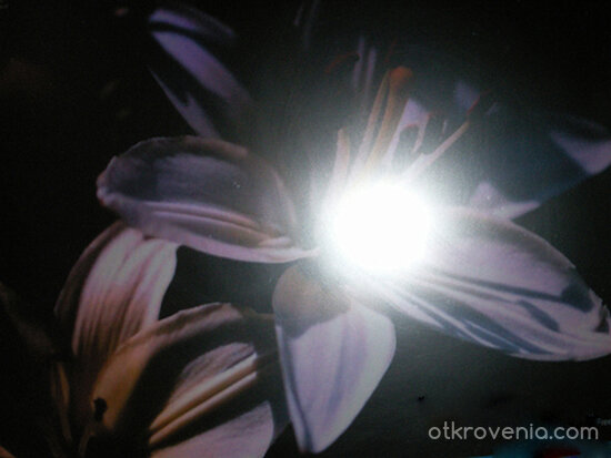 Домът на светлинката